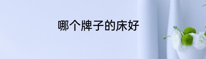哪个牌子的床好
