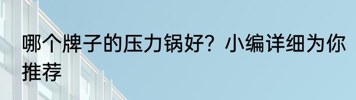 哪个牌子的压力锅好？小编详细为你推荐