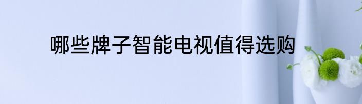 哪些牌子智能电视值得选购