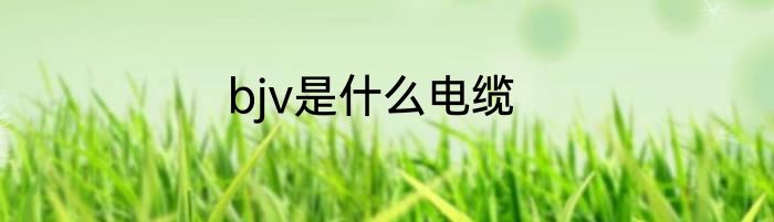 bjv是什么电缆