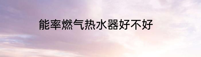 能率燃气热水器好不好