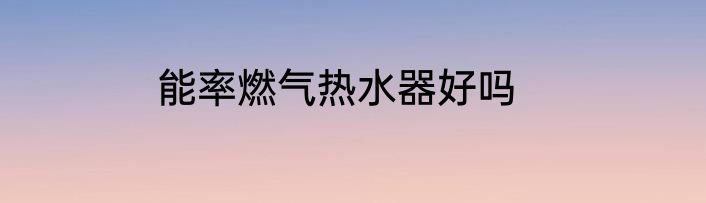 能率燃气热水器好吗