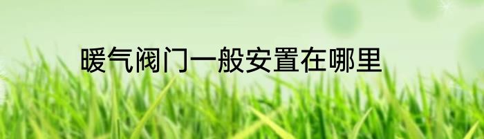 暖气阀门一般安置在哪里
