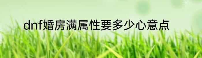 dnf婚房满属性要多少心意点