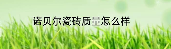 诺贝尔瓷砖质量怎么样