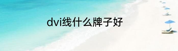 dvi线什么牌子好