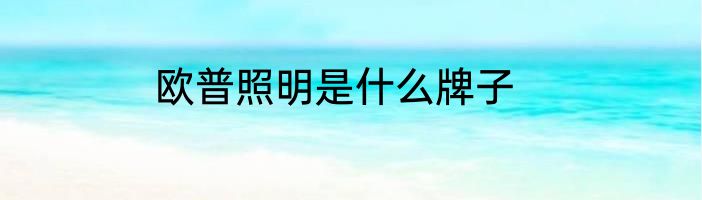 欧普照明是什么牌子