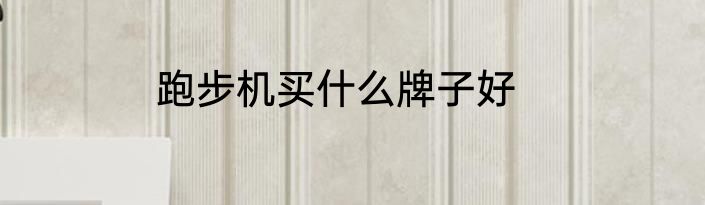跑步机买什么牌子好