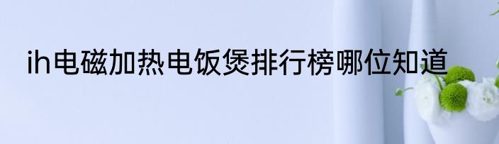 ih电磁加热电饭煲排行榜哪位知道