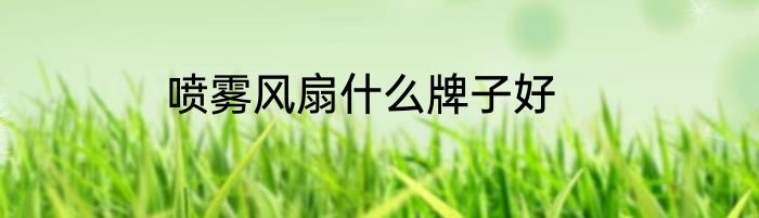 喷雾风扇什么牌子好