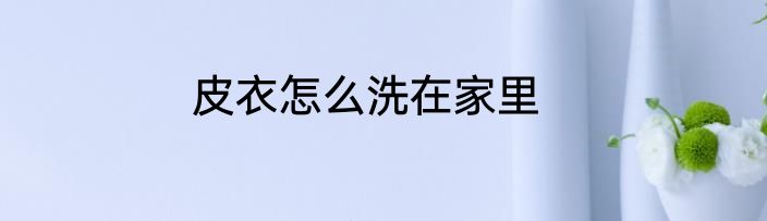 皮衣怎么洗在家里