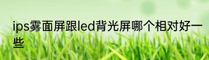 ips雾面屏跟led背光屏哪个相对好一些