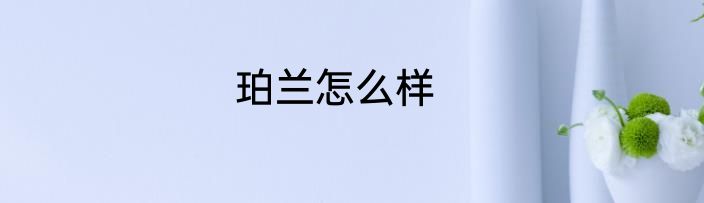 珀兰怎么样