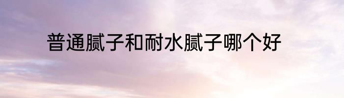 普通腻子和耐水腻子哪个好
