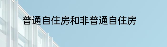 普通自住房和非普通自住房
