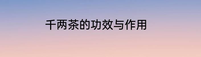 千两茶的功效与作用