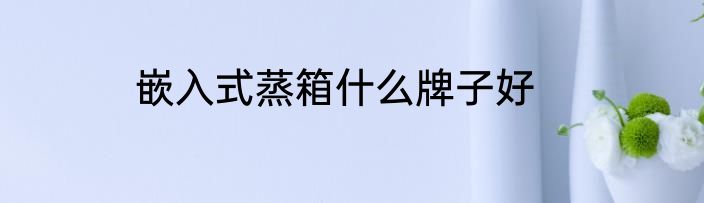 嵌入式蒸箱什么牌子好