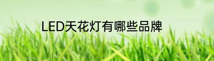LED天花灯有哪些品牌