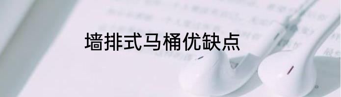 墙排式马桶优缺点