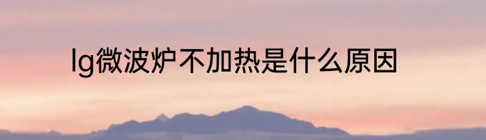 lg微波炉不加热是什么原因