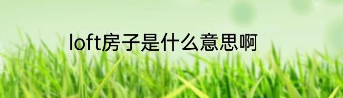 loft房子是什么意思啊