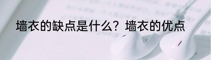 墙衣的缺点是什么？墙衣的优点