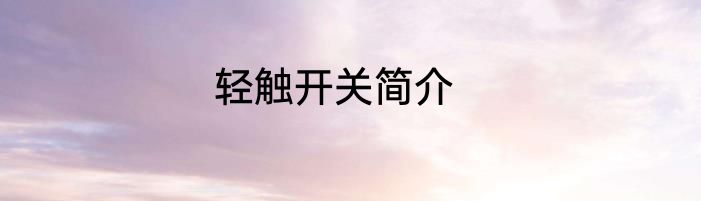 轻触开关简介