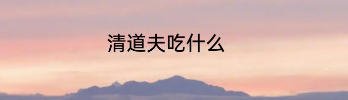 清道夫吃什么