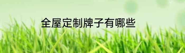 全屋定制牌子有哪些