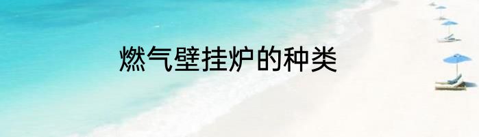 燃气壁挂炉的种类