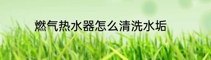 燃气热水器怎么清洗水垢