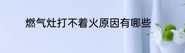 燃气灶打不着火原因有哪些