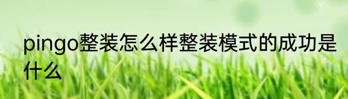 pingo整装怎么样整装模式的成功是什么