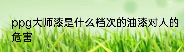 ppg大师漆是什么档次的油漆对人的危害
