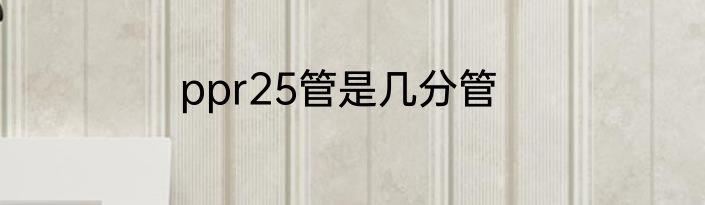 ppr25管是几分管