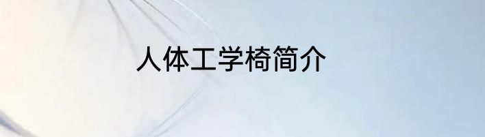 人体工学椅简介