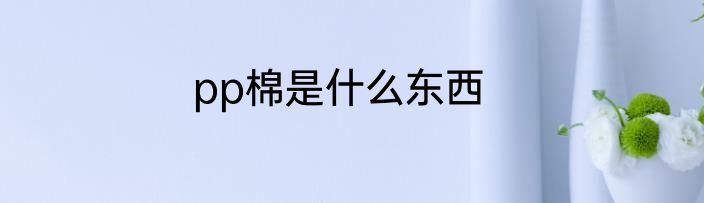 pp棉是什么东西