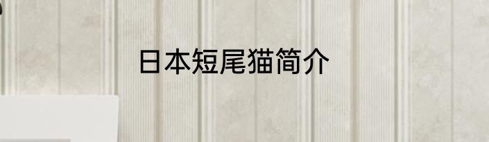 日本短尾猫简介