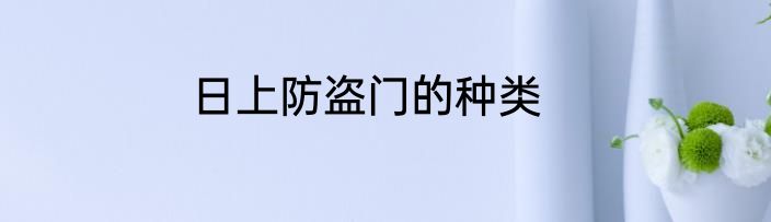日上防盗门的种类