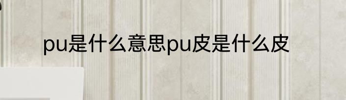 pu是什么意思pu皮是什么皮
