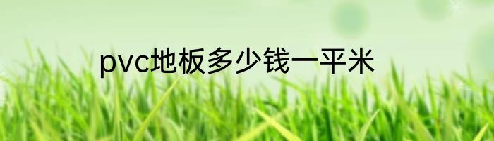 pvc地板多少钱一平米