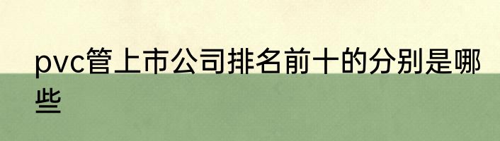 pvc管上市公司排名前十的分别是哪些
