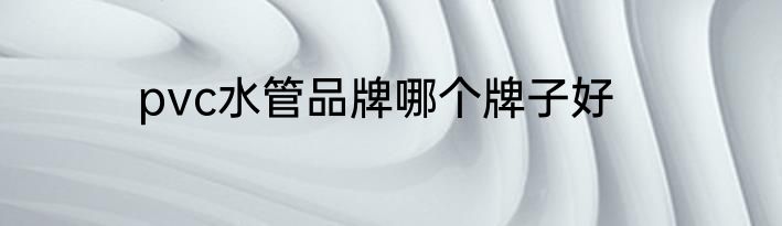 pvc水管品牌哪个牌子好