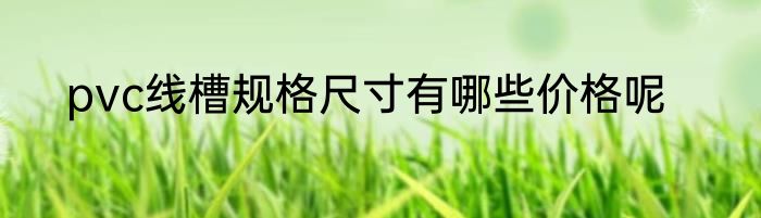 pvc线槽规格尺寸有哪些价格呢