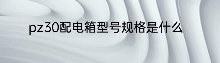 pz30配电箱型号规格是什么