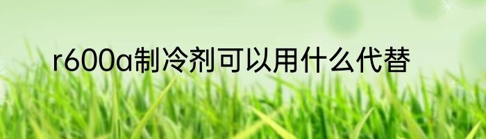 r600a制冷剂可以用什么代替