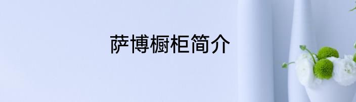 萨博橱柜简介