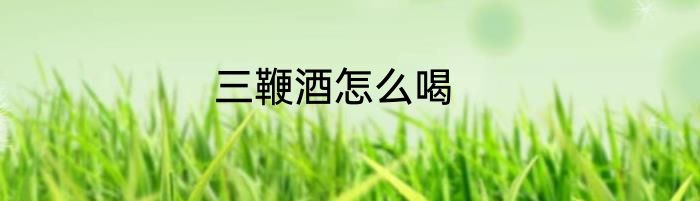 三鞭酒怎么喝