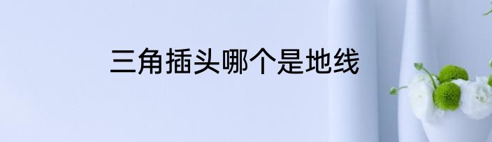 三角插头哪个是地线