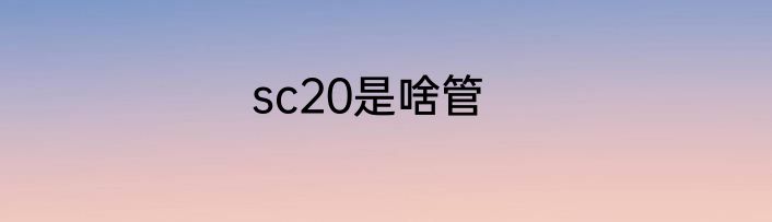sc20是啥管